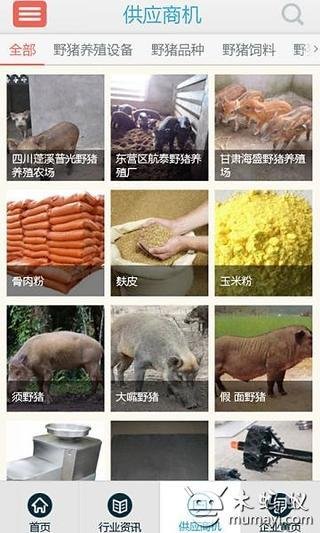 中国野猪网截图1