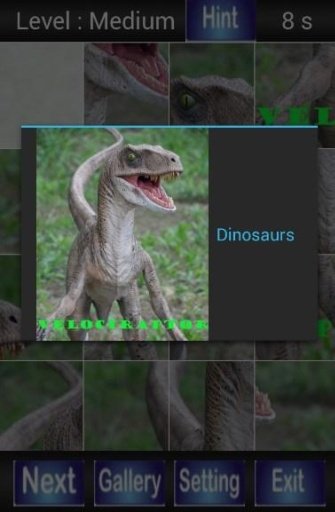 Dinosaurs Puzzle Games截图9