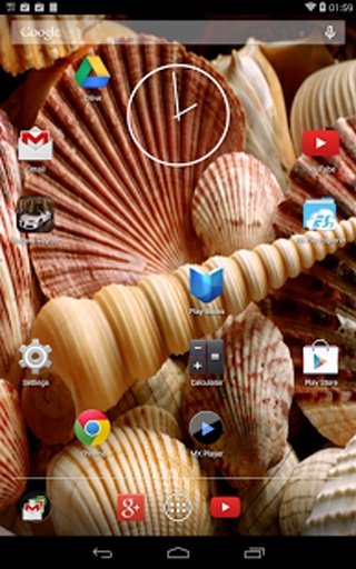 Sea Shell LWP截图7