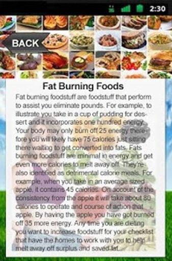 Fat Burning Foods App截图10