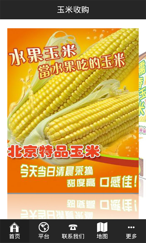 玉米收购截图1