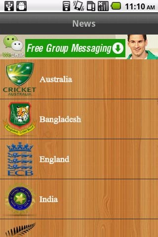 Cricket Sports截图1