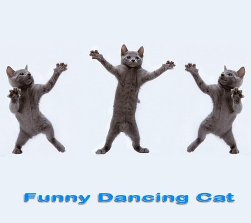 Dancing Cat截图7