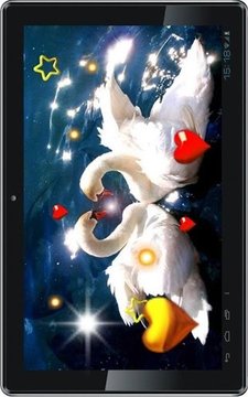 Valentine Birds live wallpaper截图