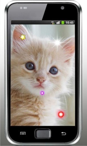 Pussy Kittens live wallpaper截图5