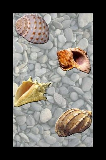 Seashell截图3