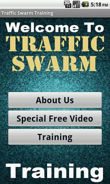 in Traffic Swarm Biz截图1