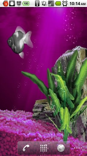 Aquarium Goldfish LIVE WALLPAP截图2