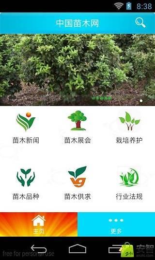 中国苗木网截图1