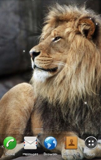 Lion3 Live Wallpaper截图8