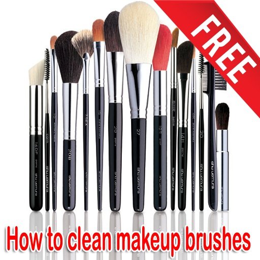 Clean Makeup Brushes截图6