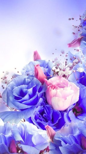 Flower Livewallpaper HD截图4