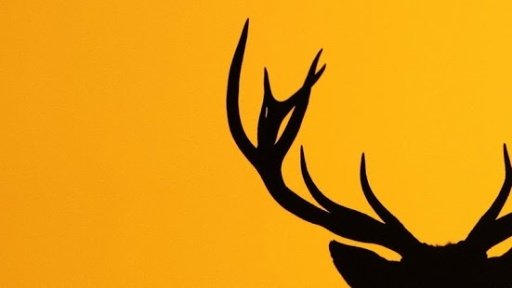 Deer Lite Wallpaper截图2