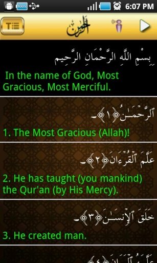 Surah Ar-Rahman Pro截图4