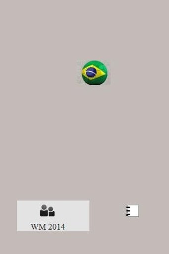 Fussball WM 2014 Brasilien截图1