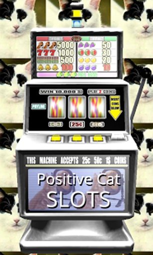 Positive Cat Slots - Free截图2
