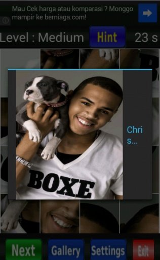 Chris Brown Lil Wayne Loyal截图2