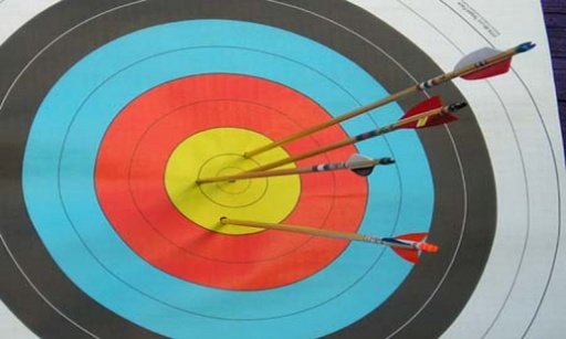 Archery World Tournament截图5