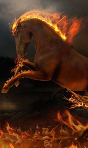 Fire Horse 3D Live Wallpaper截图3