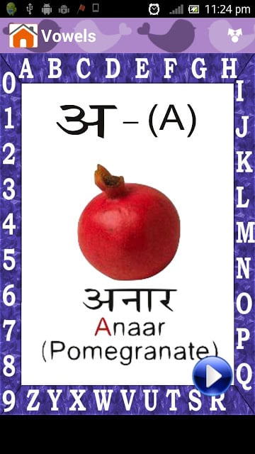 Hindi Alphabets &amp; Words Book截图4