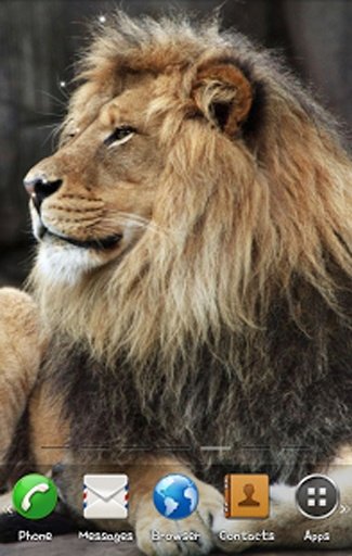 Lion3 Live Wallpaper截图7