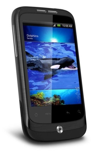 Dolphin Cup 3D Live Wallpaper截图3