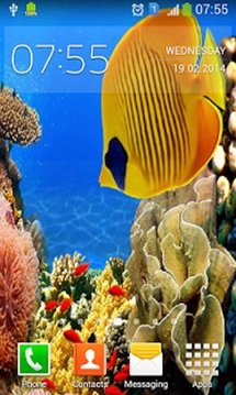 Coral Reef Aquarium HD LWP截图