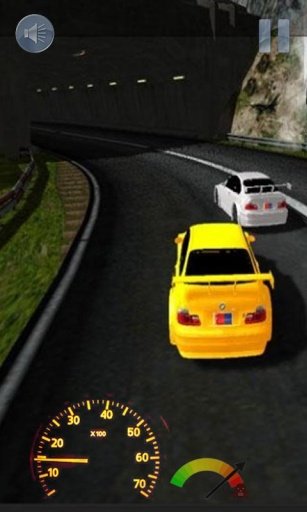 Fast and Furious Race截图1