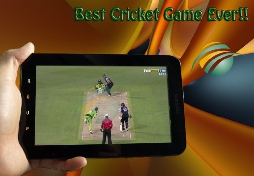 South Africa Cricket Game截图1