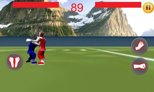 足球拳击3D截图3