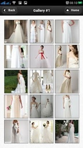 Maternity Wedding Dresses截图10