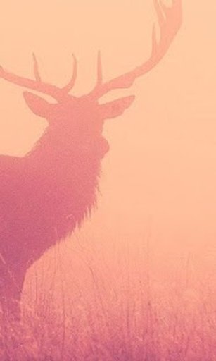 Deer Lite Wallpaper截图9