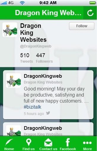 Dragon King Website Design截图5