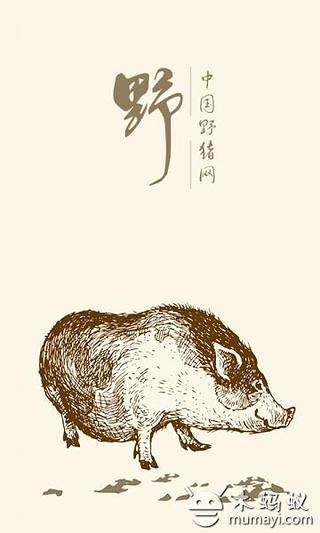 中国野猪网截图4