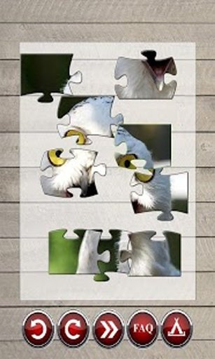 Epic Fail Puzzle free截图3