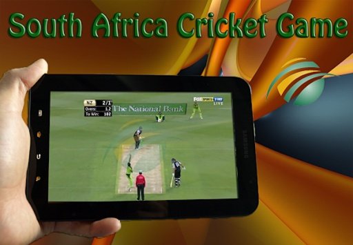 South Africa Cricket Game截图4