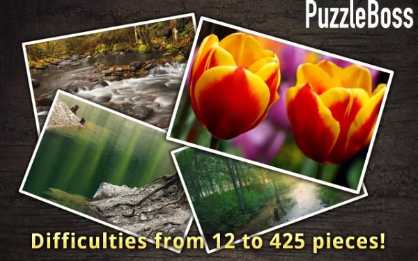 PuzzleBoss: Spring截图1