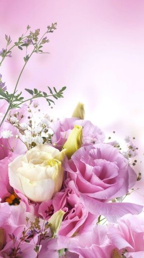 Flower Livewallpaper HD截图3