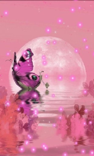 Pink Butterfly Live Wallpaper截图2