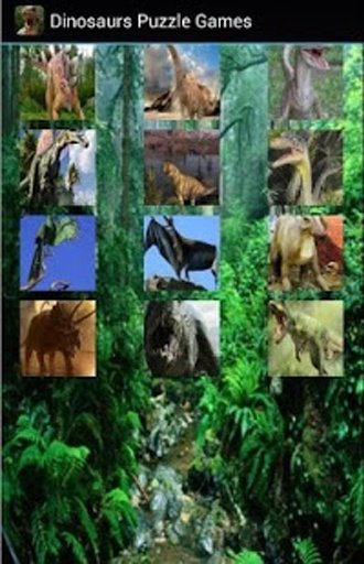 Dinosaurs Puzzle Games截图4