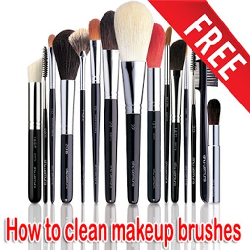 Clean Makeup Brushes截图3