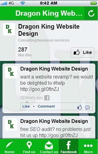 Dragon King Website Design截图6