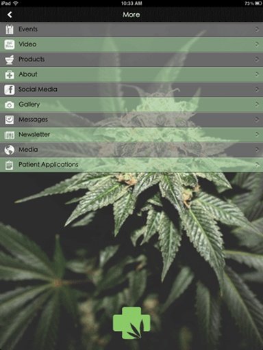 MMJ America截图2