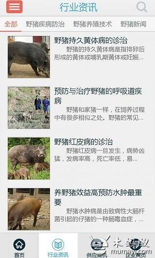 中国野猪网截图6