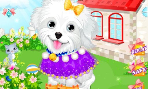 Fluffy Puppy Pet Spa &amp; Care截图3