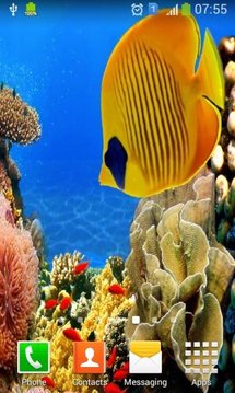 Coral Reef Aquarium HD LWP截图