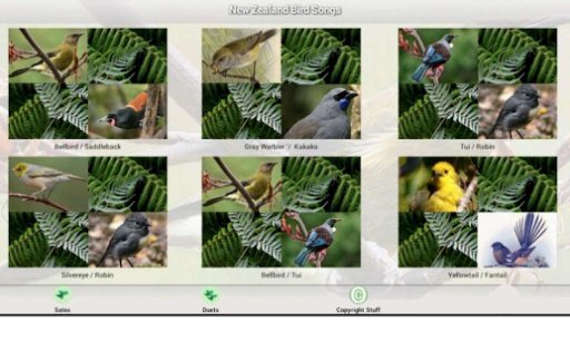 New Zealand Bird Songs截图4