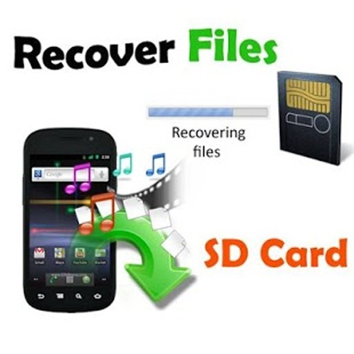 Recover Files From SD Card截图2