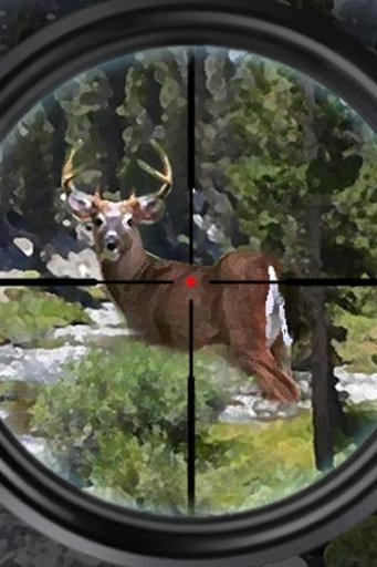 Deer Jungle Hunting 2014截图4