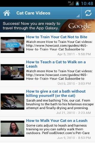 Cat Care And Training Guide截图1